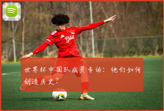 世界杯中国队成员专访:他们如何创造历史?