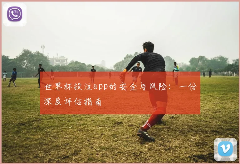 世界杯投注app的安全与风险:一份深度评估指南