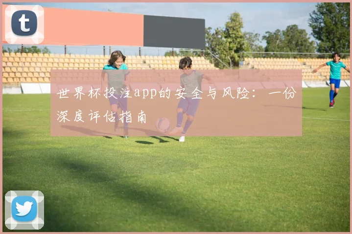 世界杯投注app的安全与风险：一份深度评估指南