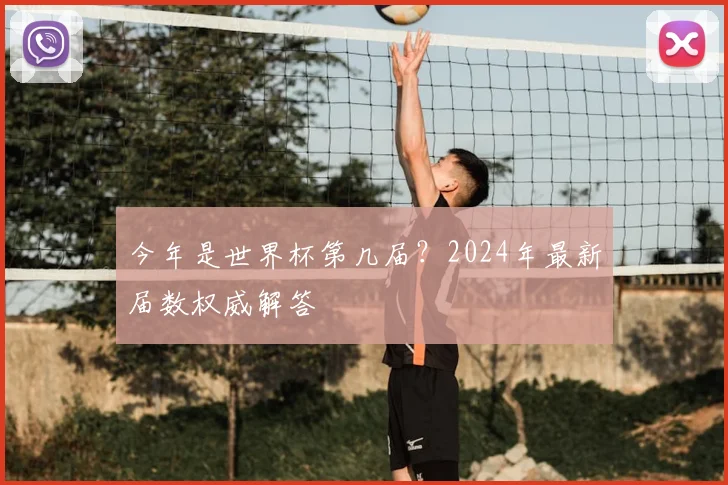 今年是世界杯第几届?2024年最新届数权威解答