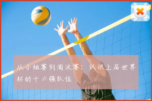 从小组赛到淘汰赛:认识上届世界杯的十六强队伍