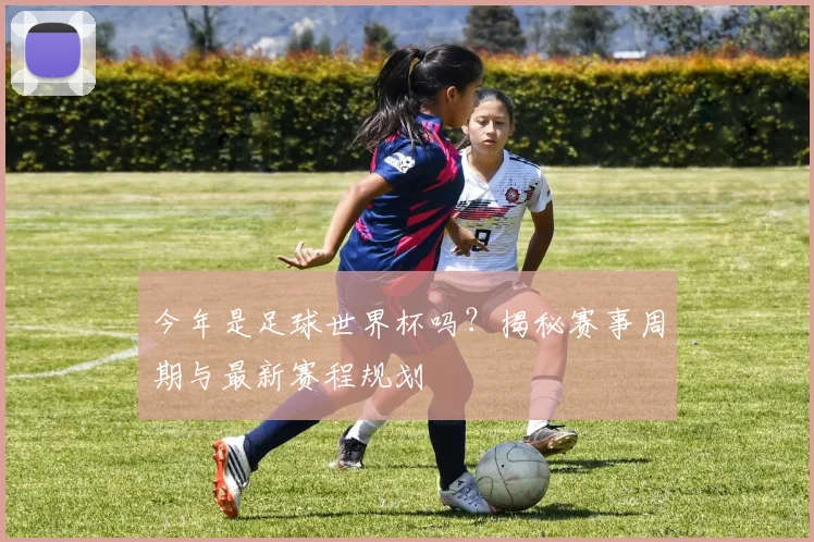 今年是足球世界杯吗?揭秘赛事周期与最新赛程规划